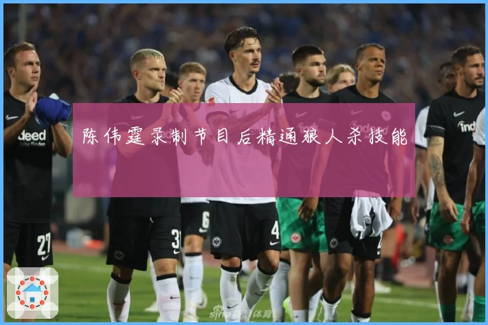 陈伟霆录制节目后精通狼人杀技能